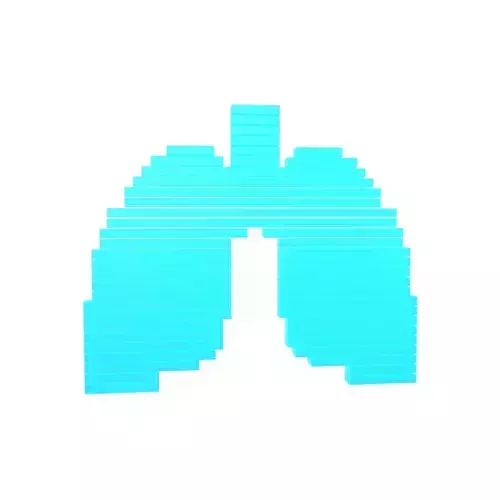 Pixel Line Lung Symbol v1 004