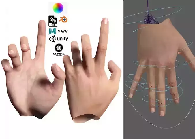 Realistic Hand VR  Low-poly 3D model