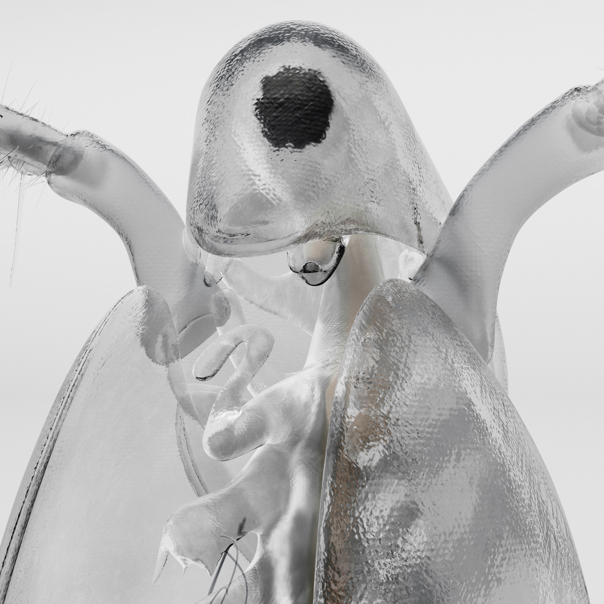 Daphnia Rigged 3D model_2