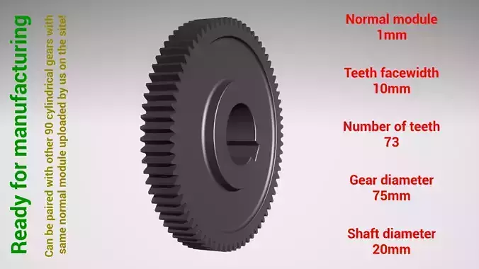 Cylindrical gear - paired - z73 m1 D75 d20