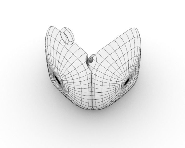 Rectangular locket with integrated hinge and clasp - 23mm x 18mm 3D print model_5