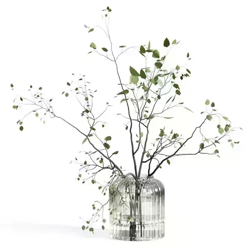 Branches plant with galss vase white bouquet 22 3D model
