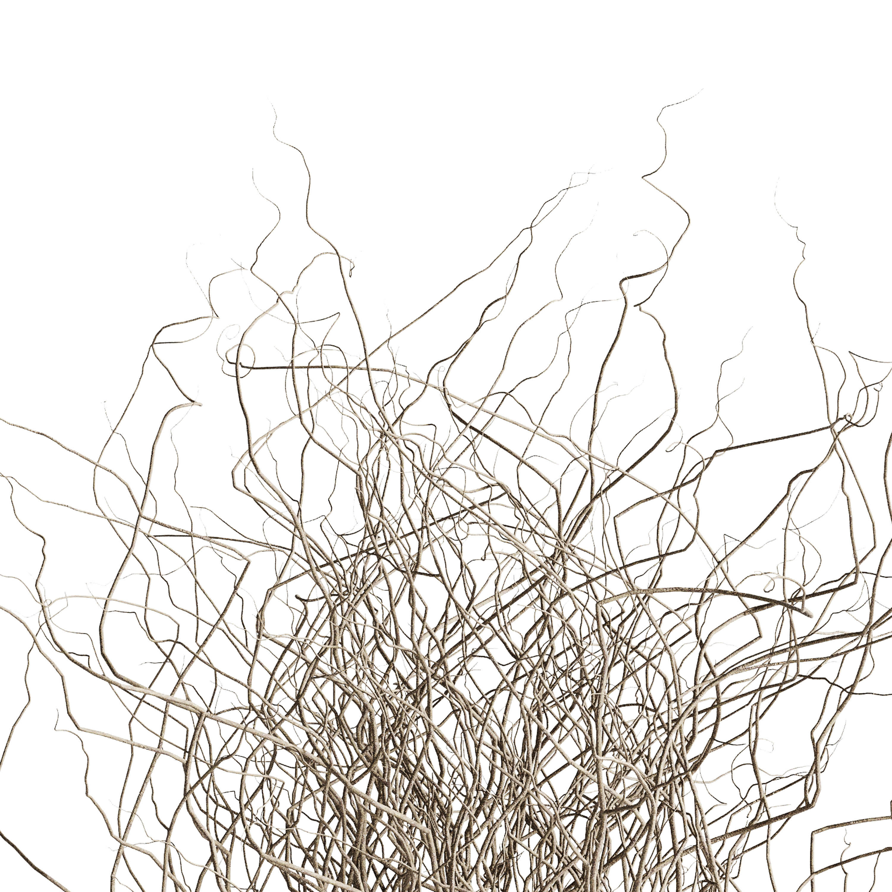 Dried branches with concrete vase  bouquet 21 3D model_2