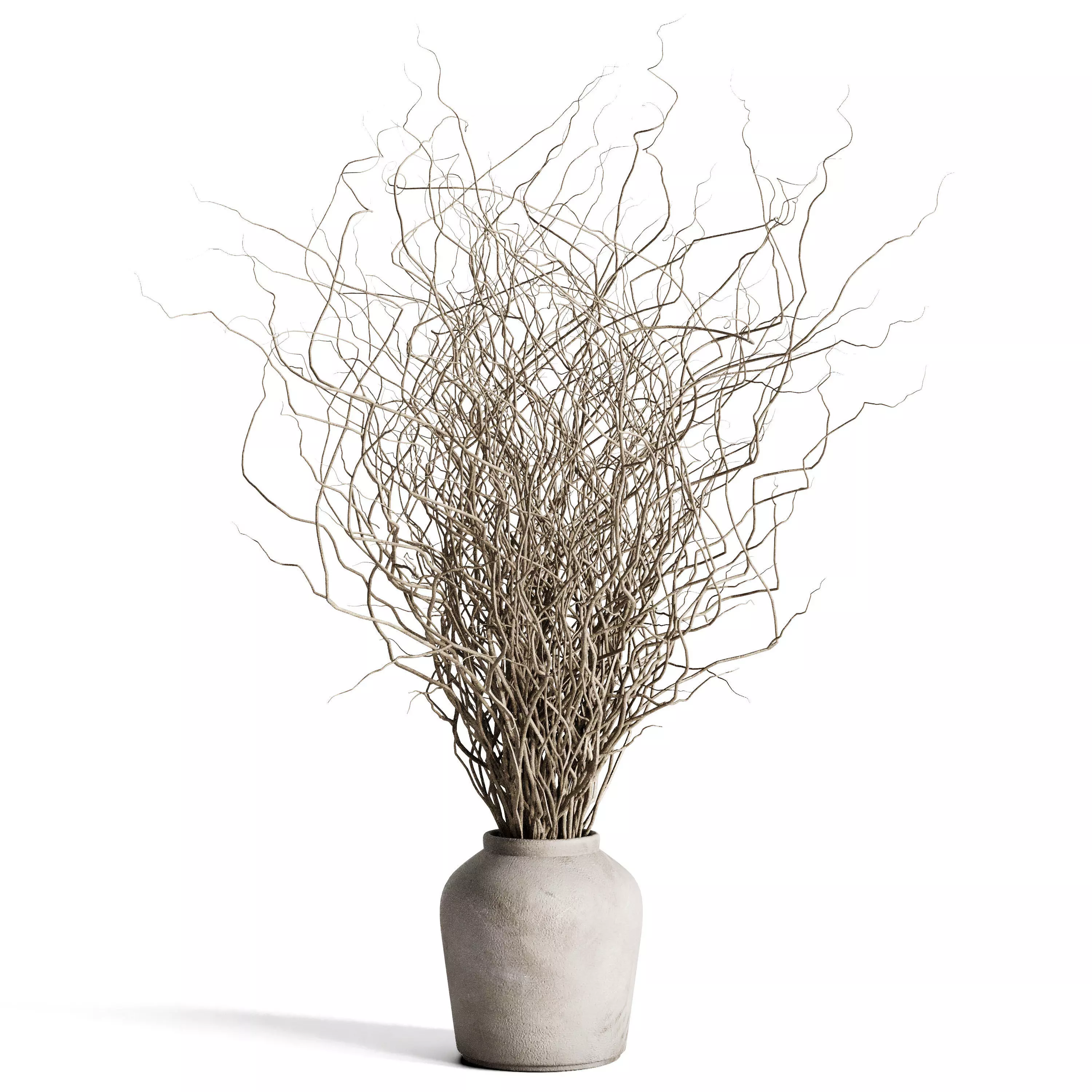 Dried branches with concrete vase  bouquet 21 3D model_0
