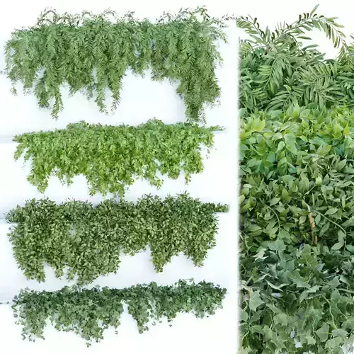Hanging wall plants collection vol 90 3D model