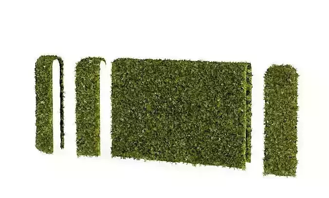 Hedge Puzzle