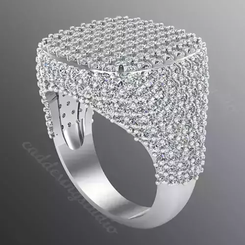 Ring ri 505