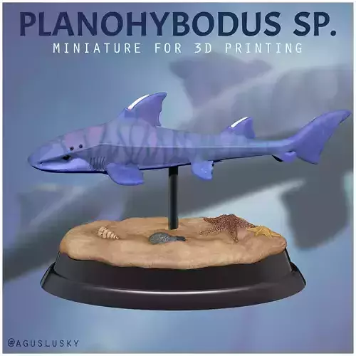 STL Prehistoric Shark Planohybodus for 3D Printing