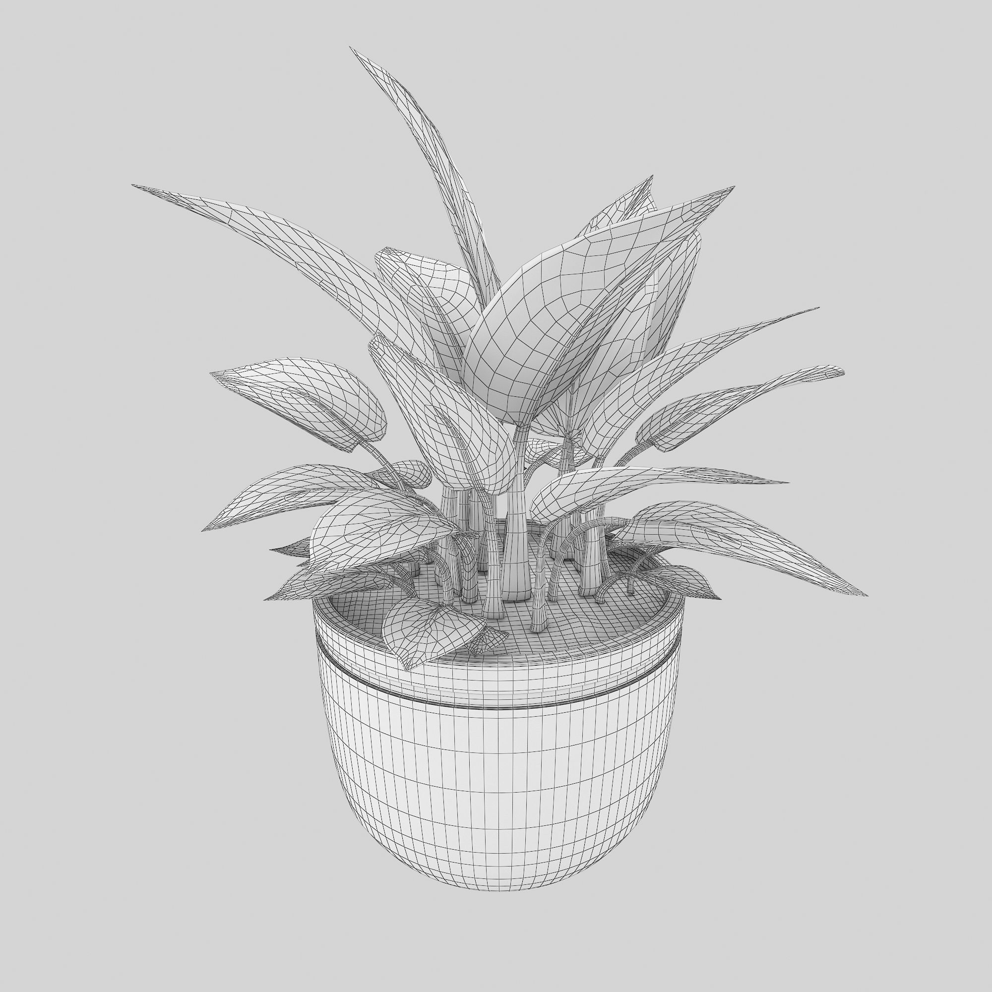 Philodendron Birkin 3D model_4