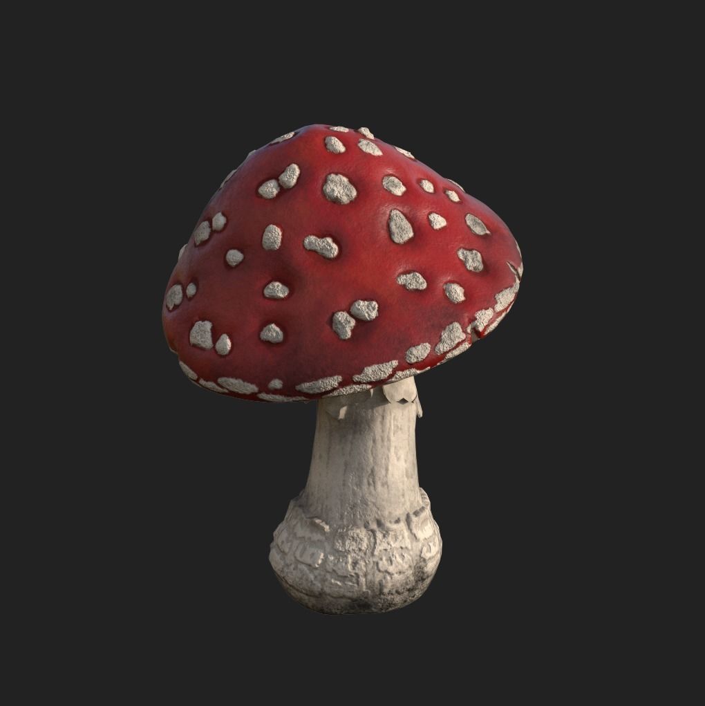 Amanita mushroom Low-poly 3D model_5