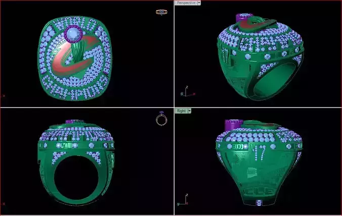 Championship Ring for men or Custom Design on Demand 3D print model