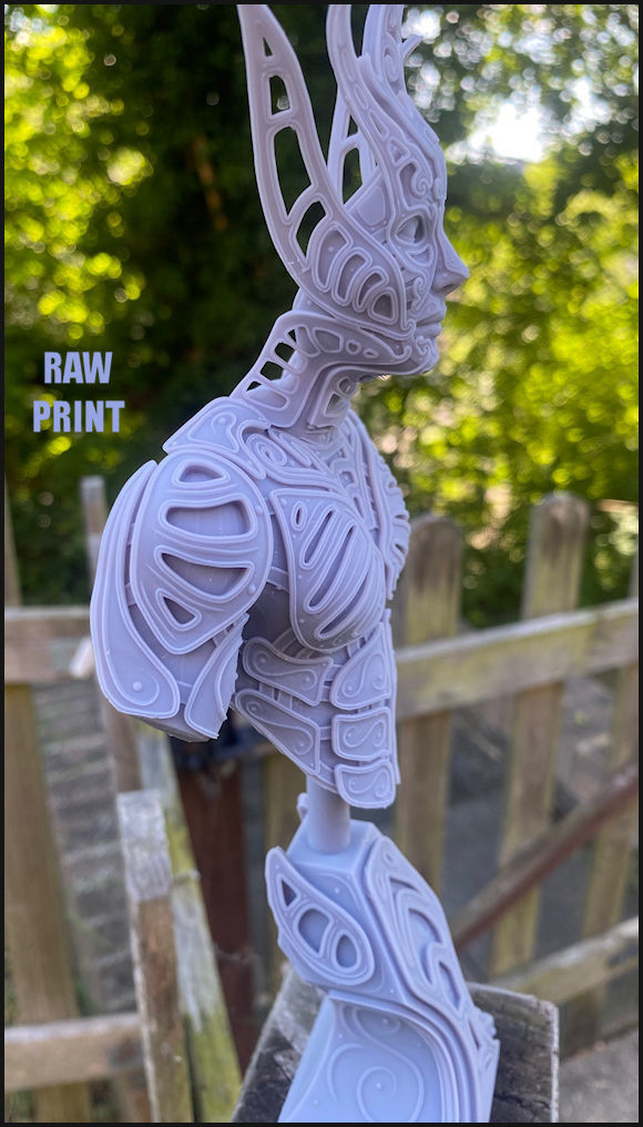 Elvden bust  3D print model_25