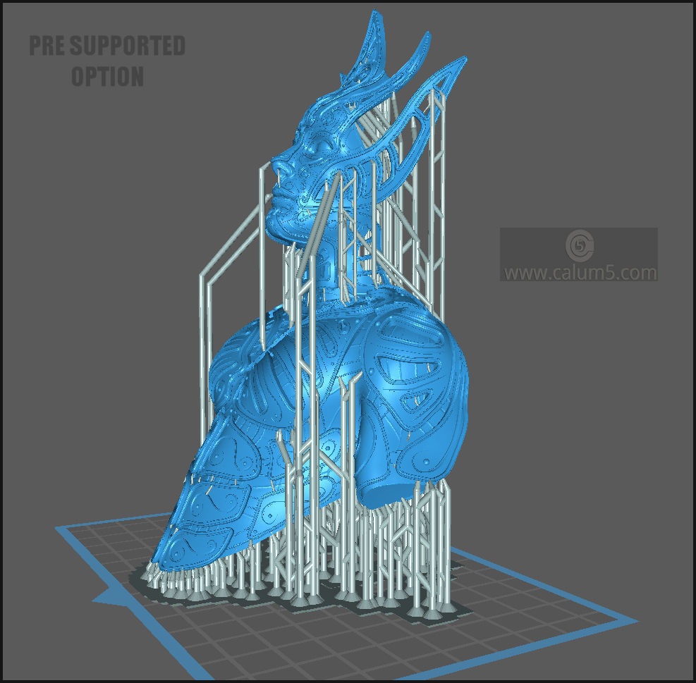 Elvden bust  3D print model_2