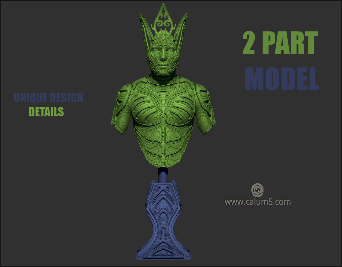 Elvden bust  3D print model_18