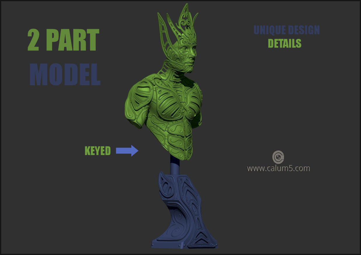 Elvden bust  3D print model_5