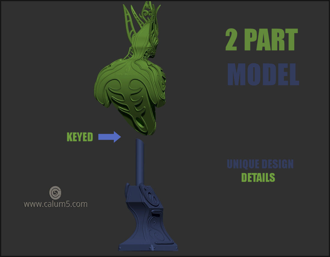 Elvden bust  3D print model_19