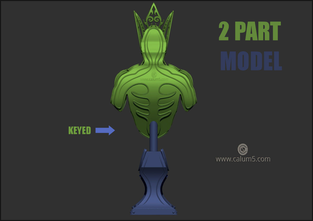 Elvden bust  3D print model_17