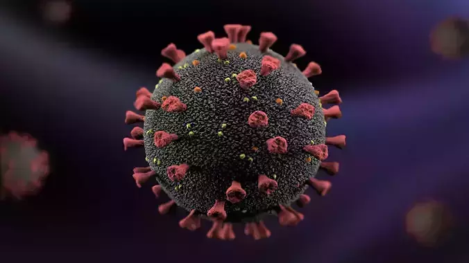 High-Detail 3D Model COVID-19 Virus for Medical Visualization