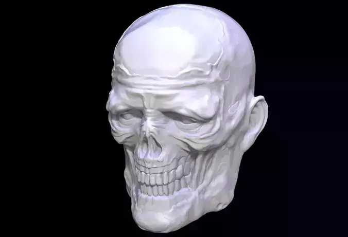 Undead zombie Head Sculpt