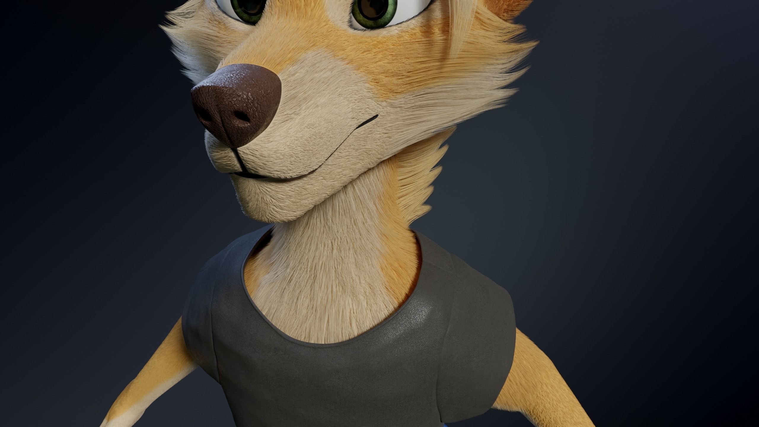 Jully Anthro Fox 3D model_28