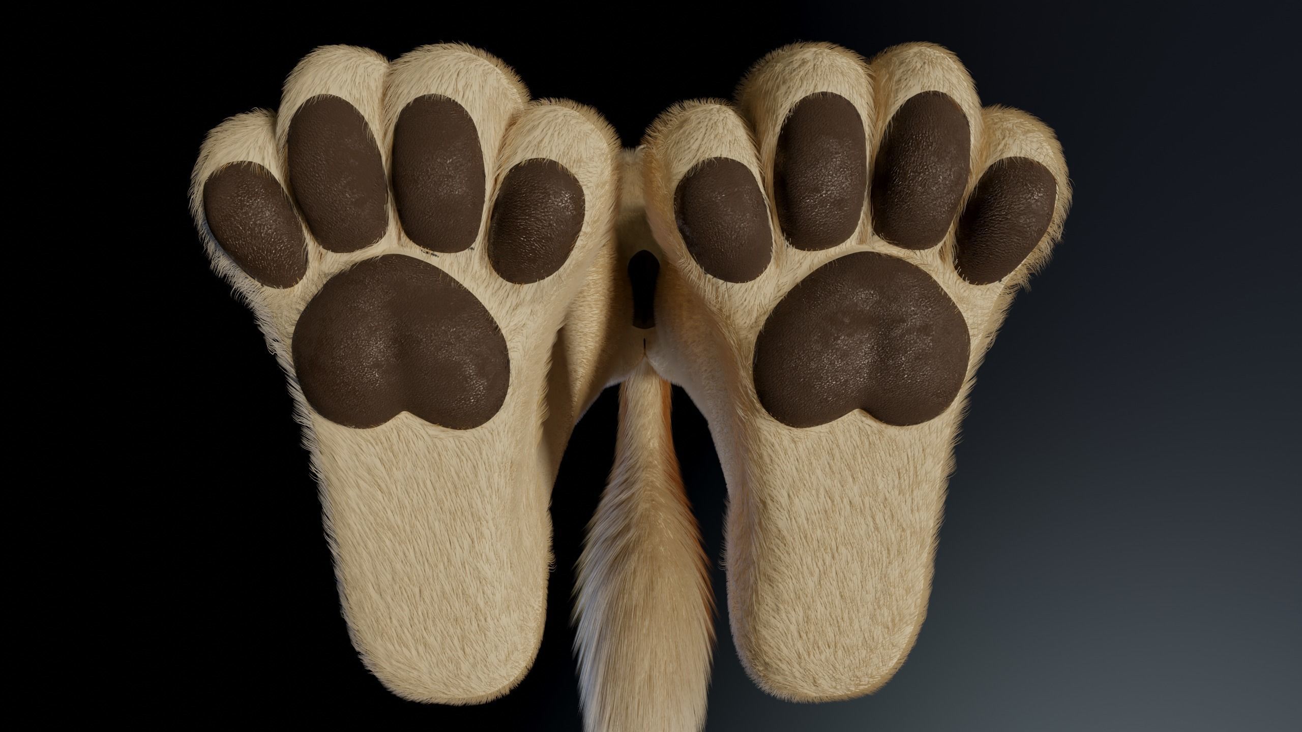 Jully Anthro Fox 3D model_14