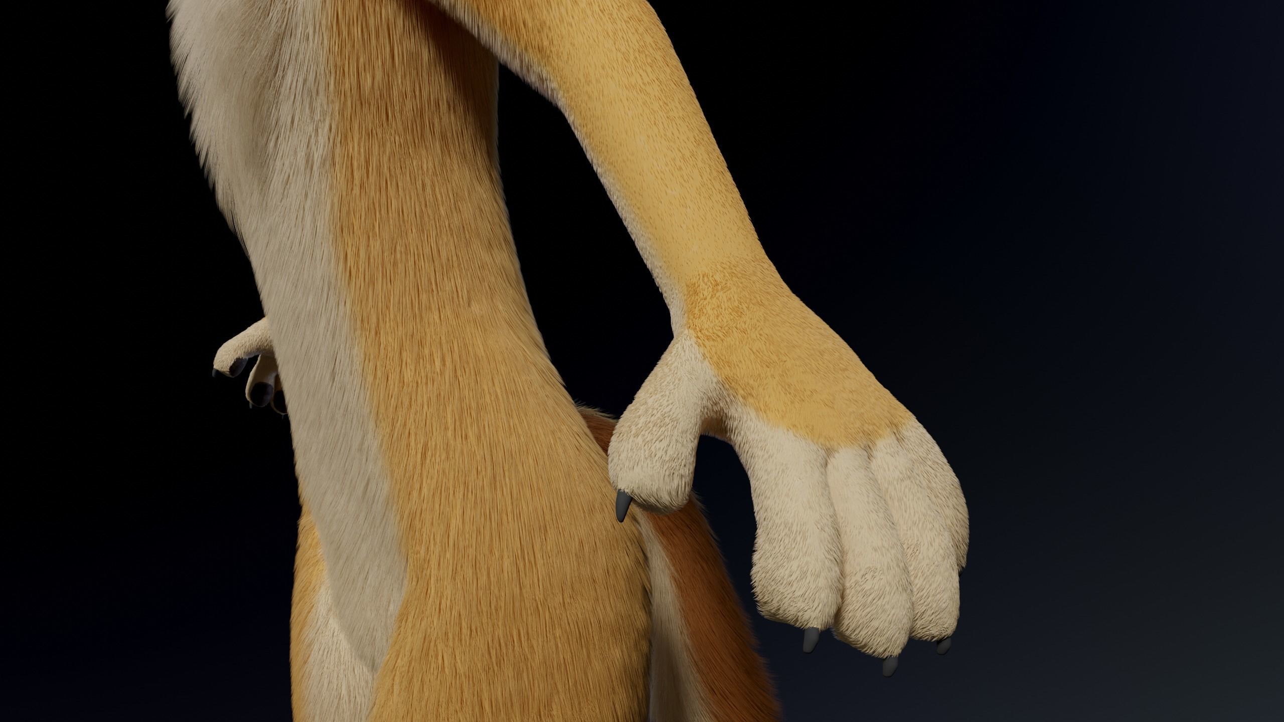 Jully Anthro Fox 3D model_11