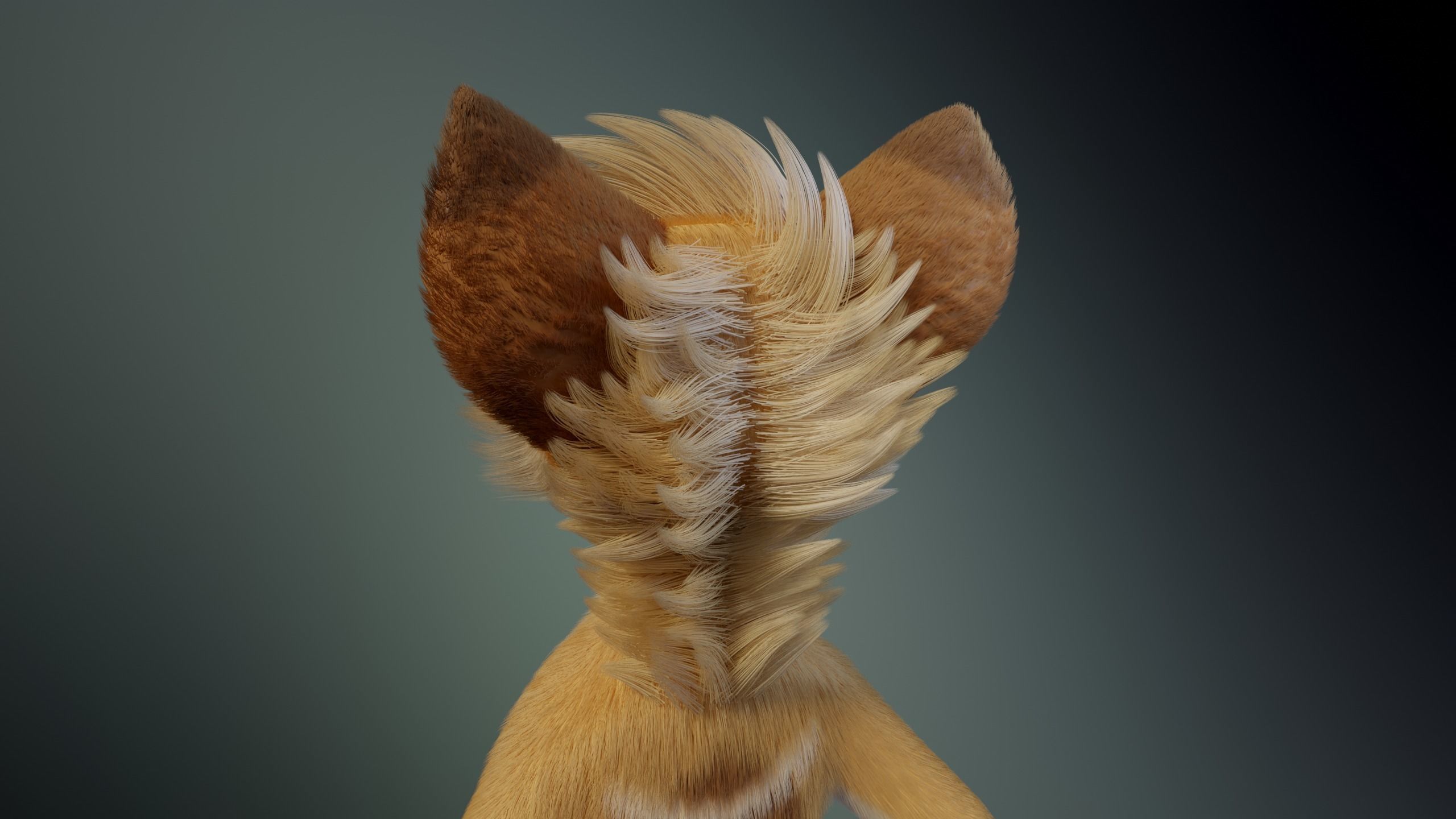 Jully Anthro Fox 3D model_5