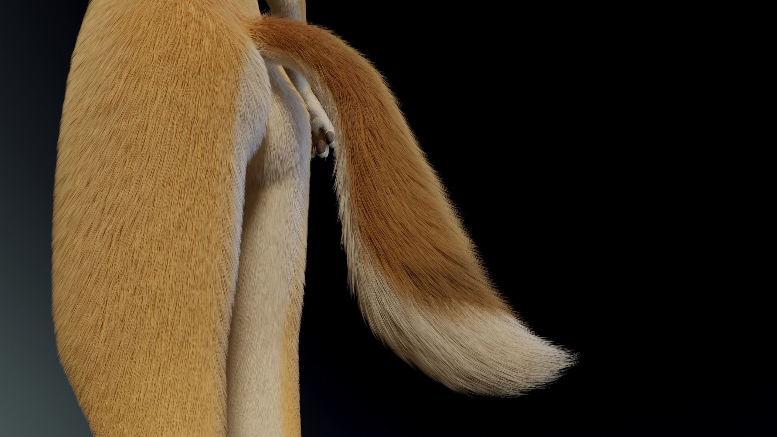 Jully Anthro Fox 3D model_10