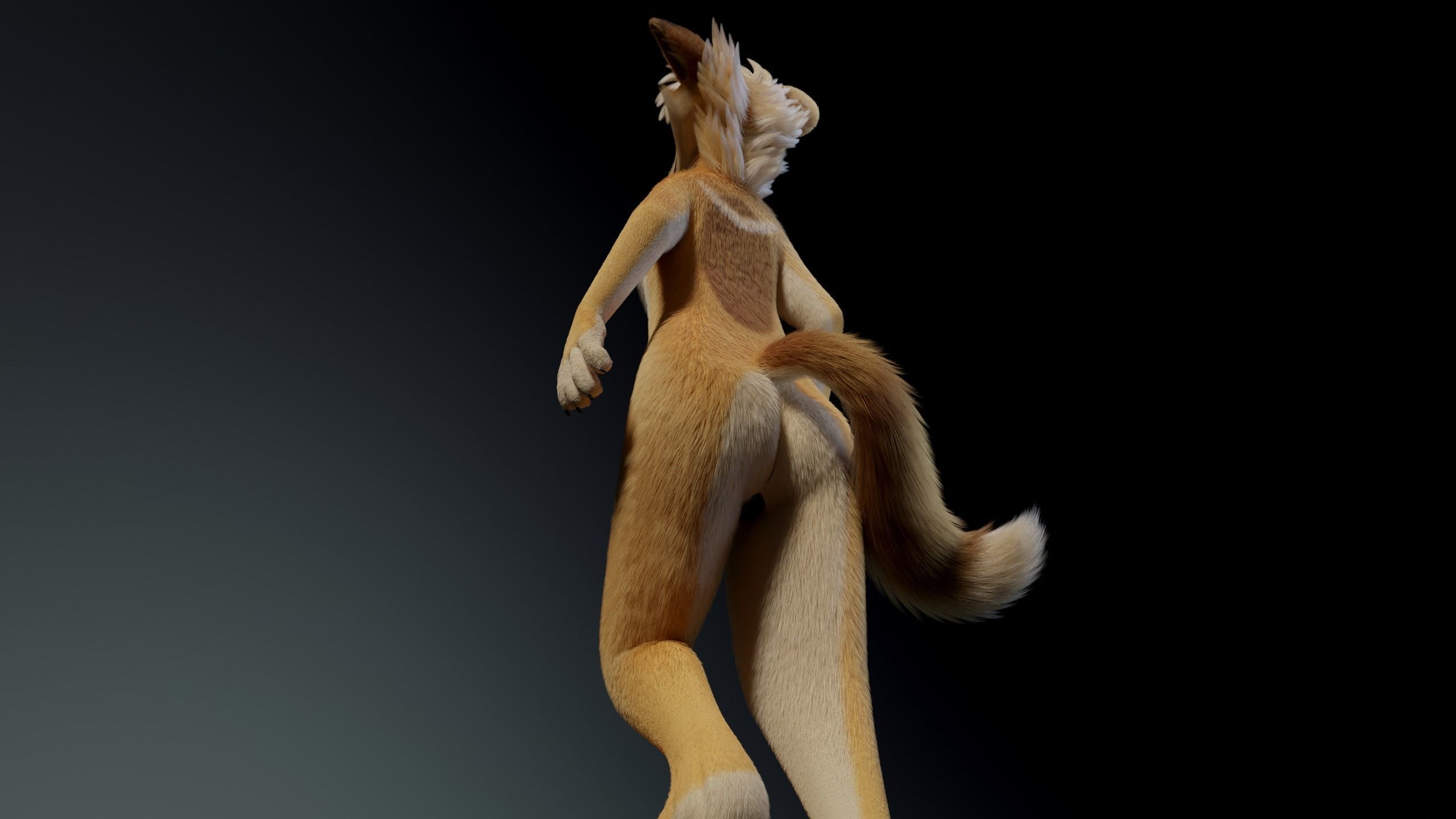 Jully Anthro Fox 3D model_20