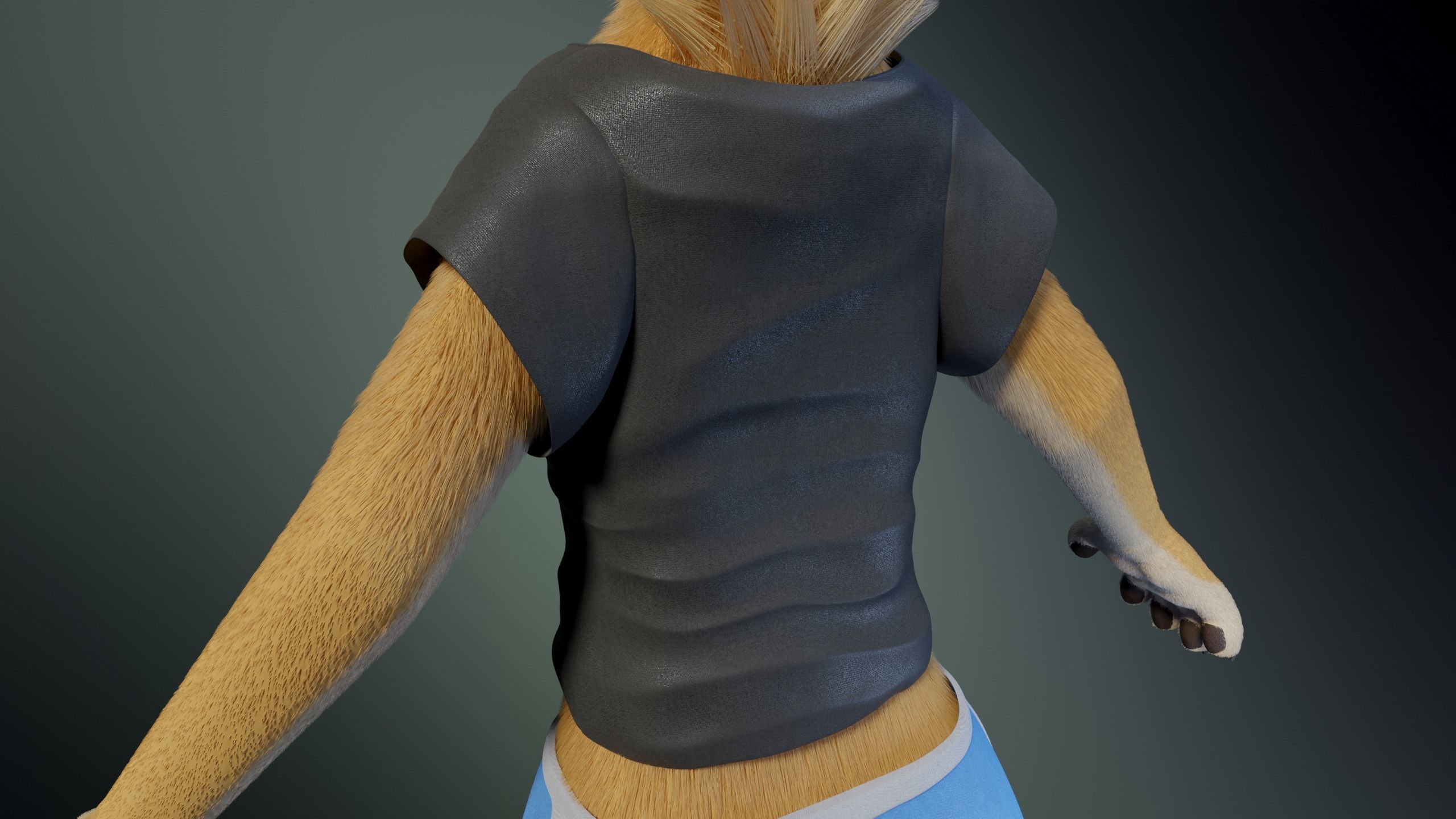 Jully Anthro Fox 3D model_27