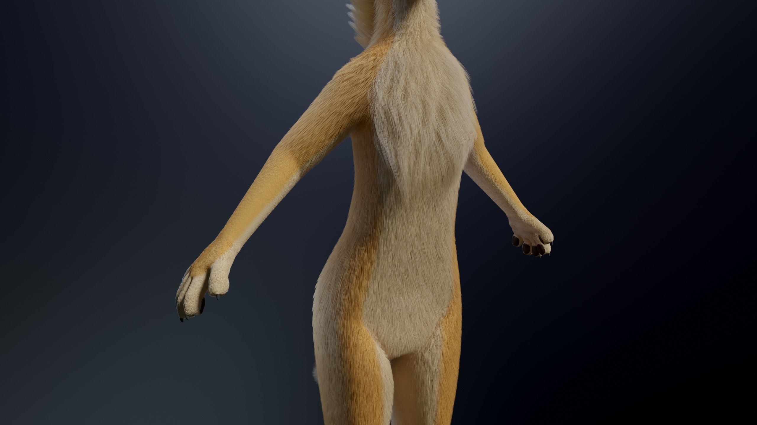Jully Anthro Fox 3D model_6