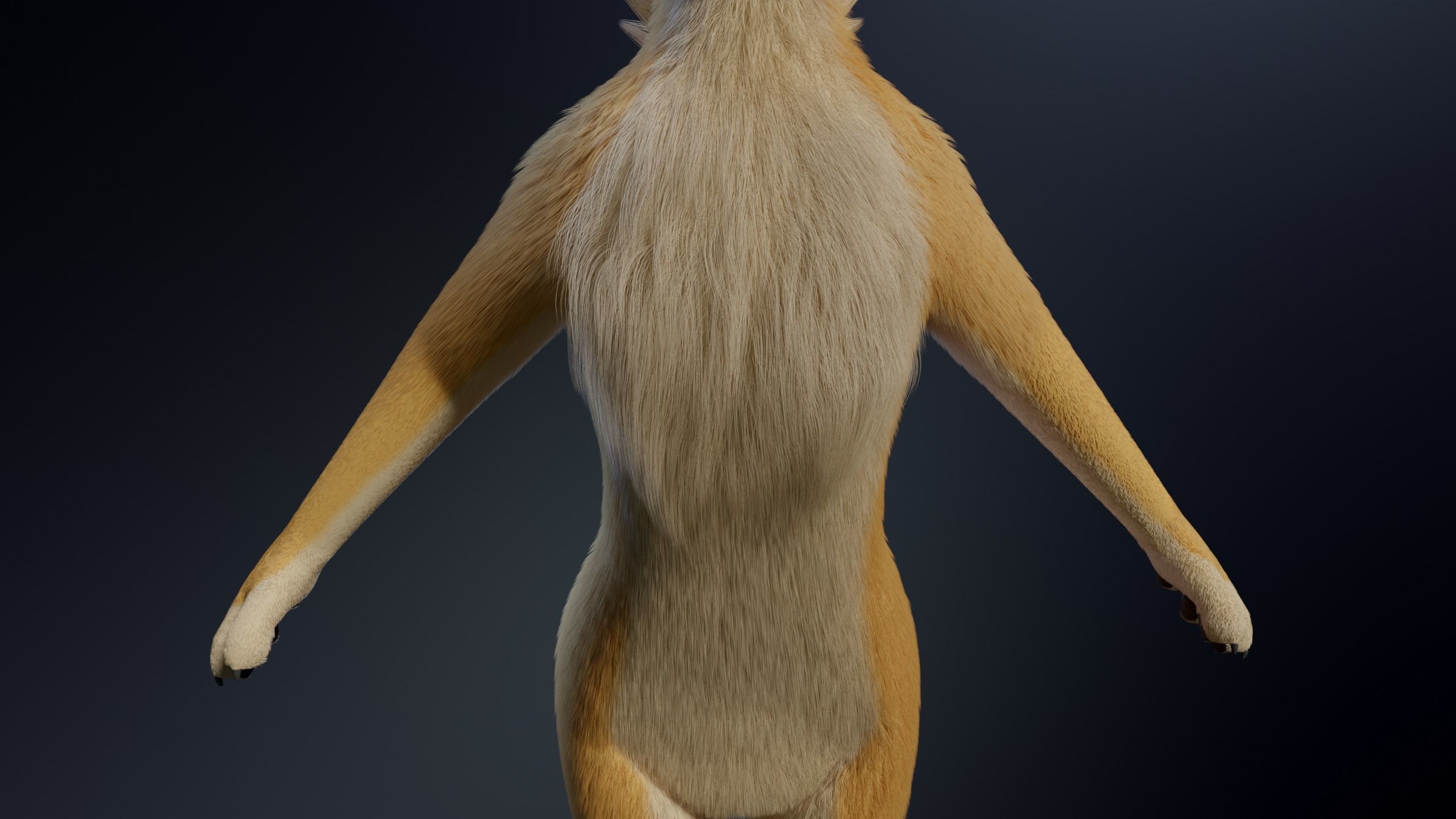 Jully Anthro Fox 3D model_17