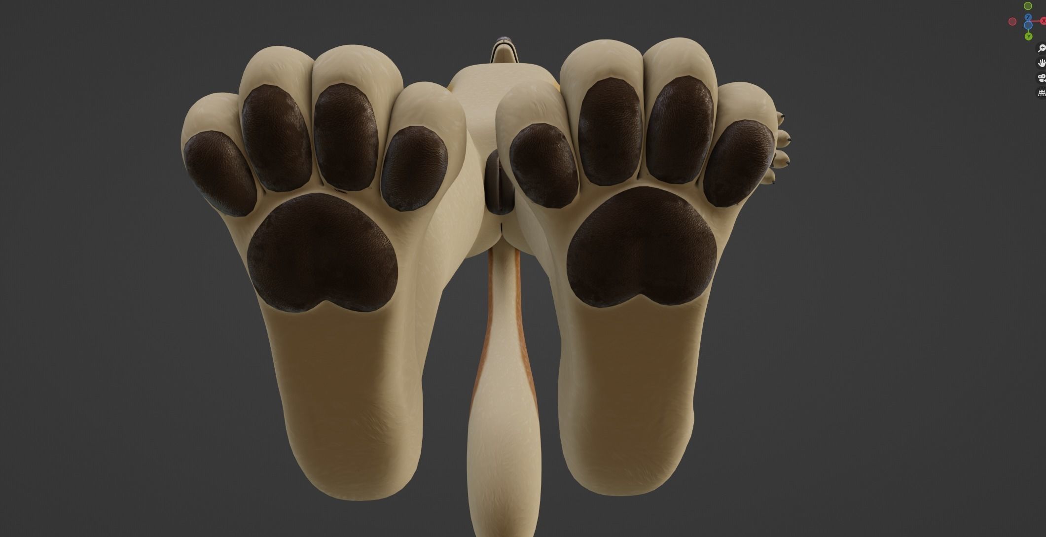 Jully Anthro Fox 3D model_50