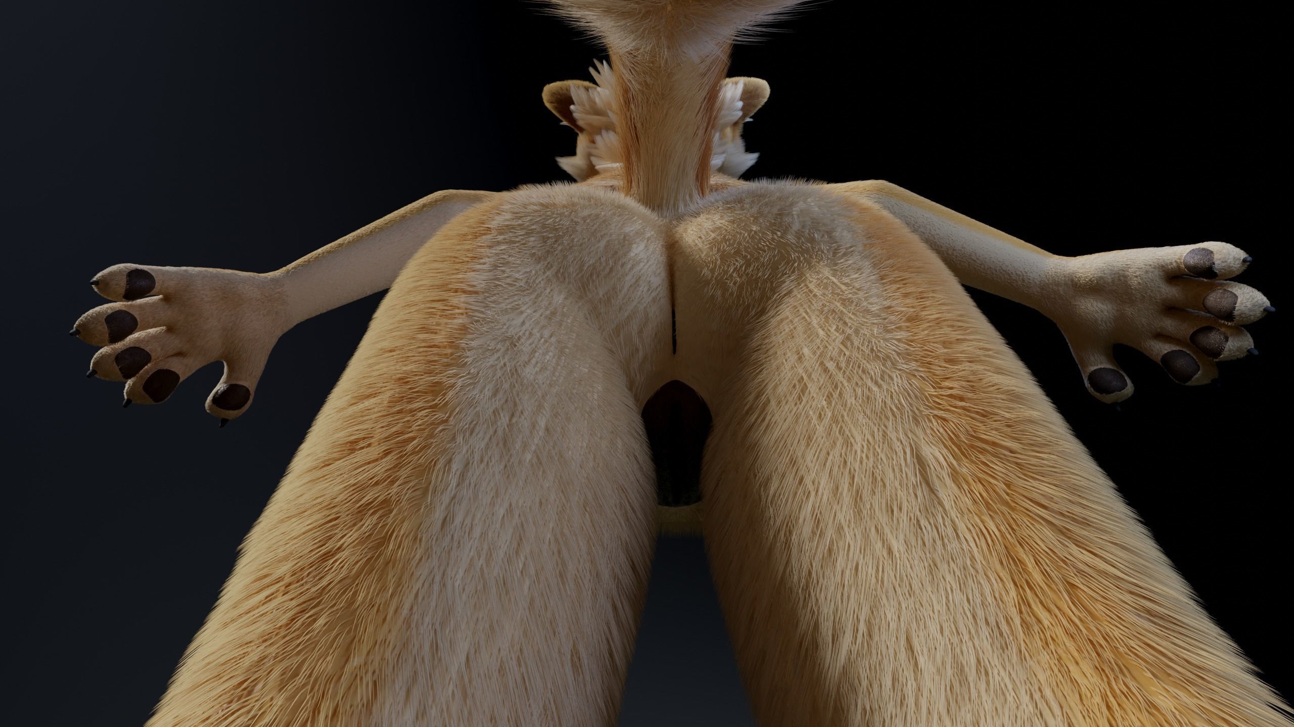 Jully Anthro Fox 3D model_16