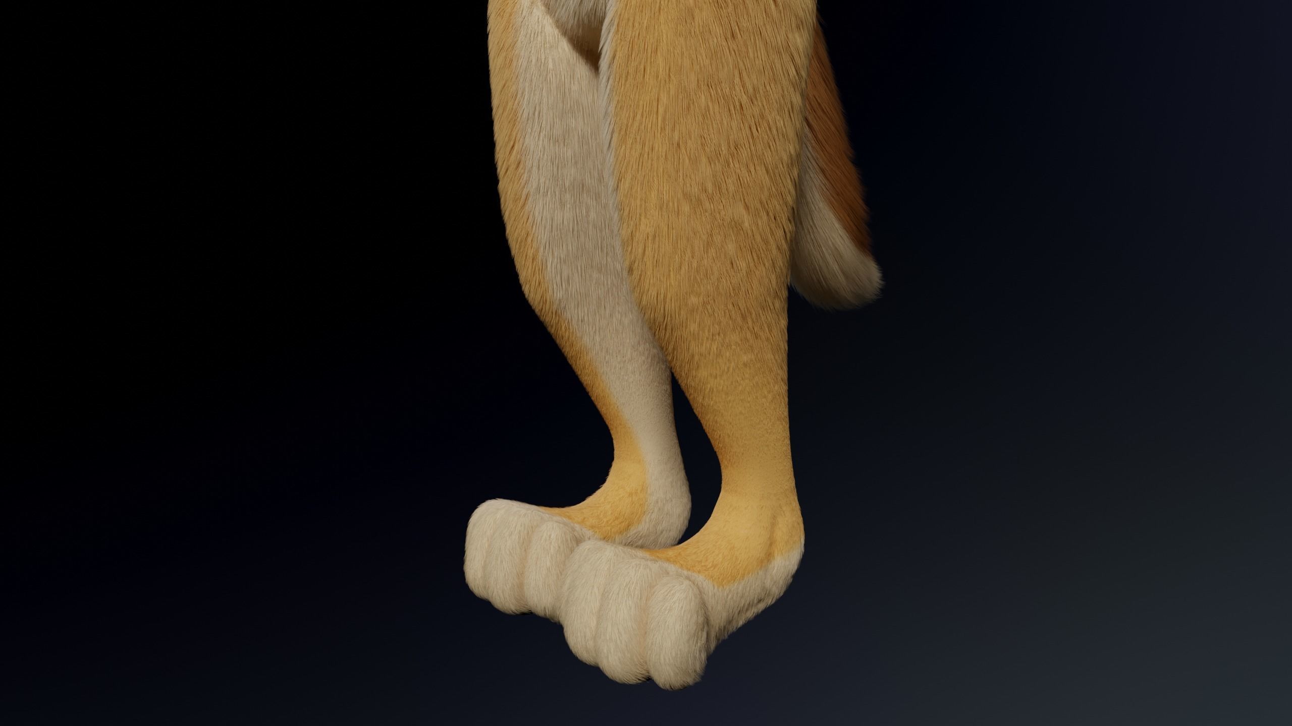 Jully Anthro Fox 3D model_8
