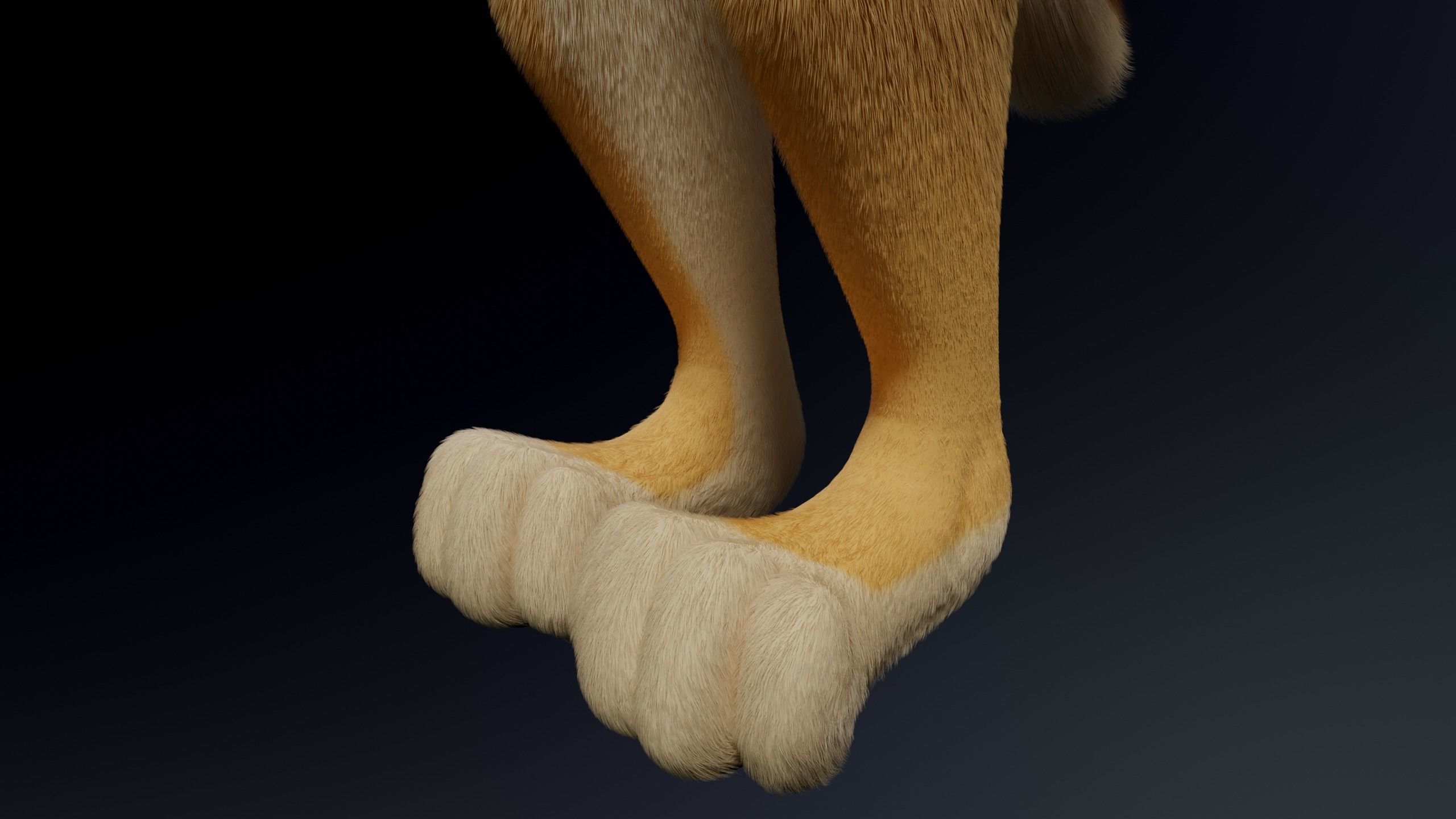 Jully Anthro Fox 3D model_13