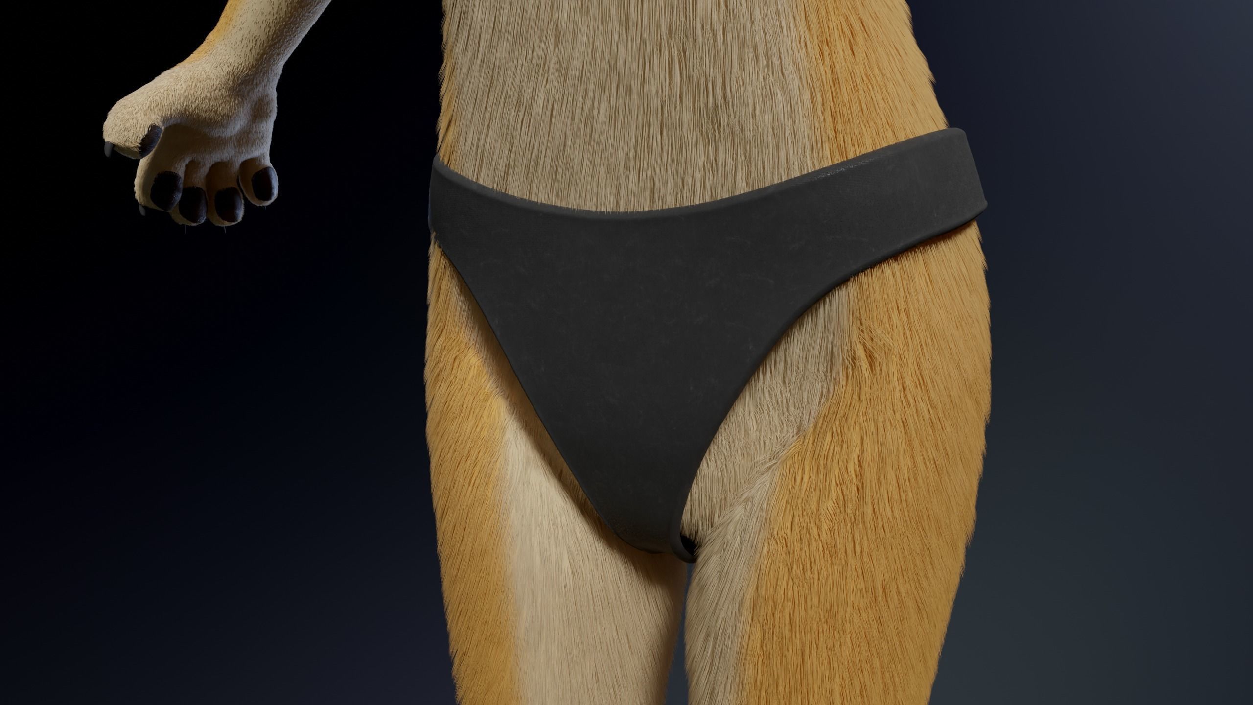 Jully Anthro Fox 3D model_22