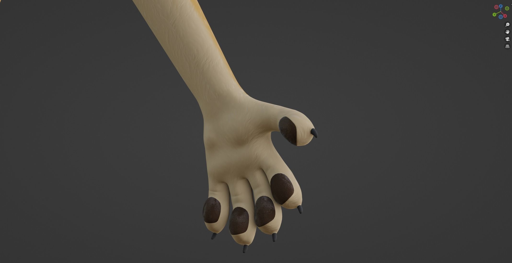 Jully Anthro Fox 3D model_48