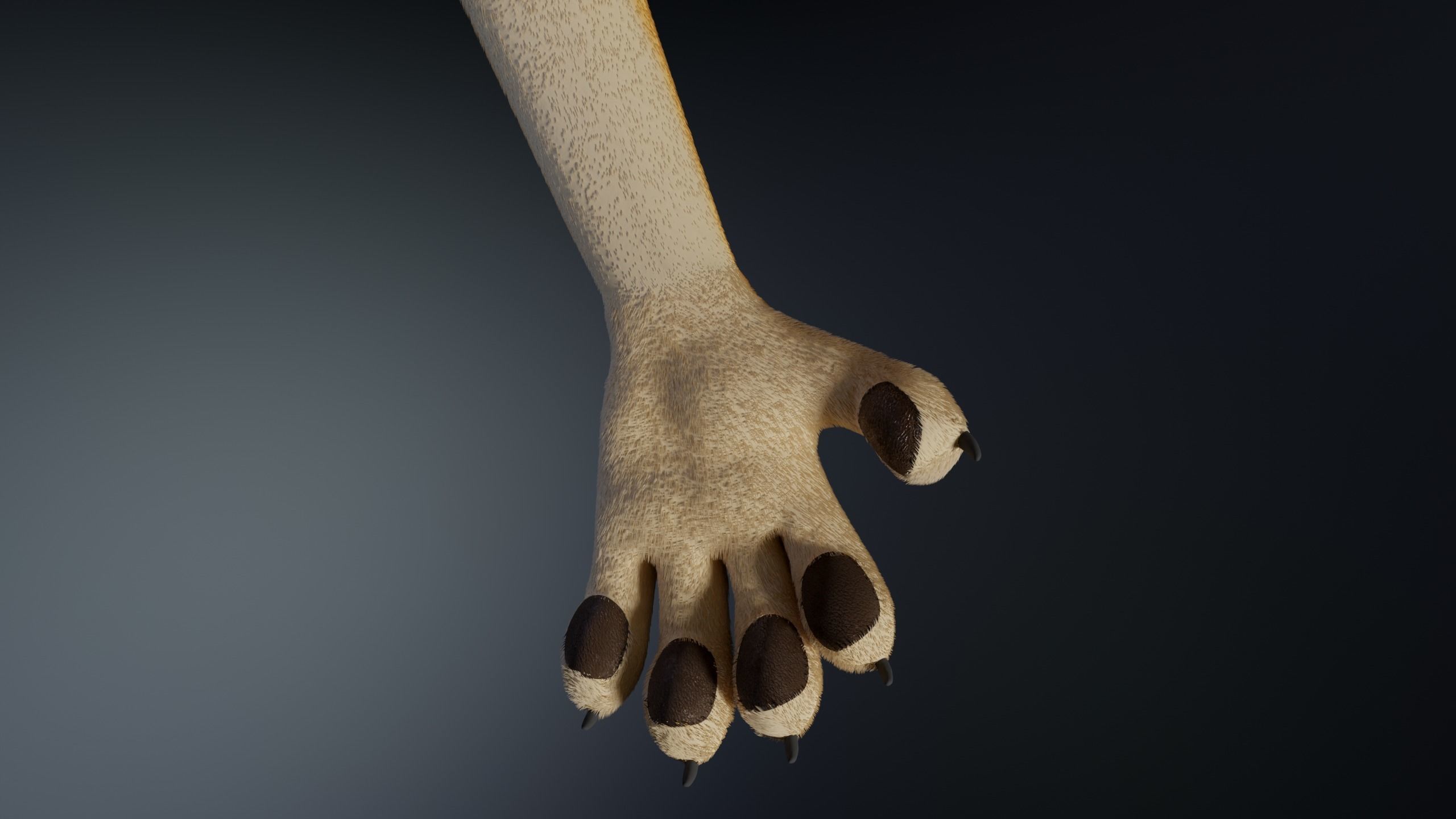 Jully Anthro Fox 3D model_12