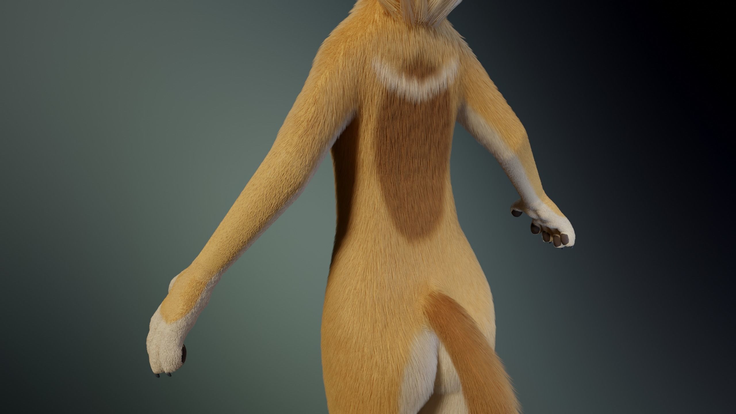 Jully Anthro Fox 3D model_7
