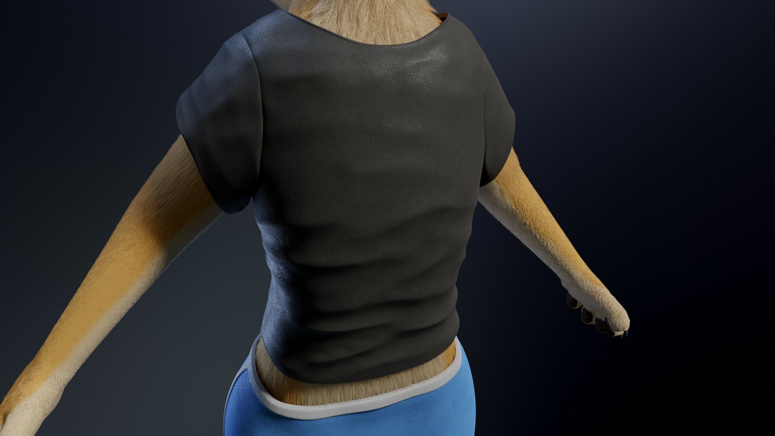 Jully Anthro Fox 3D model_26