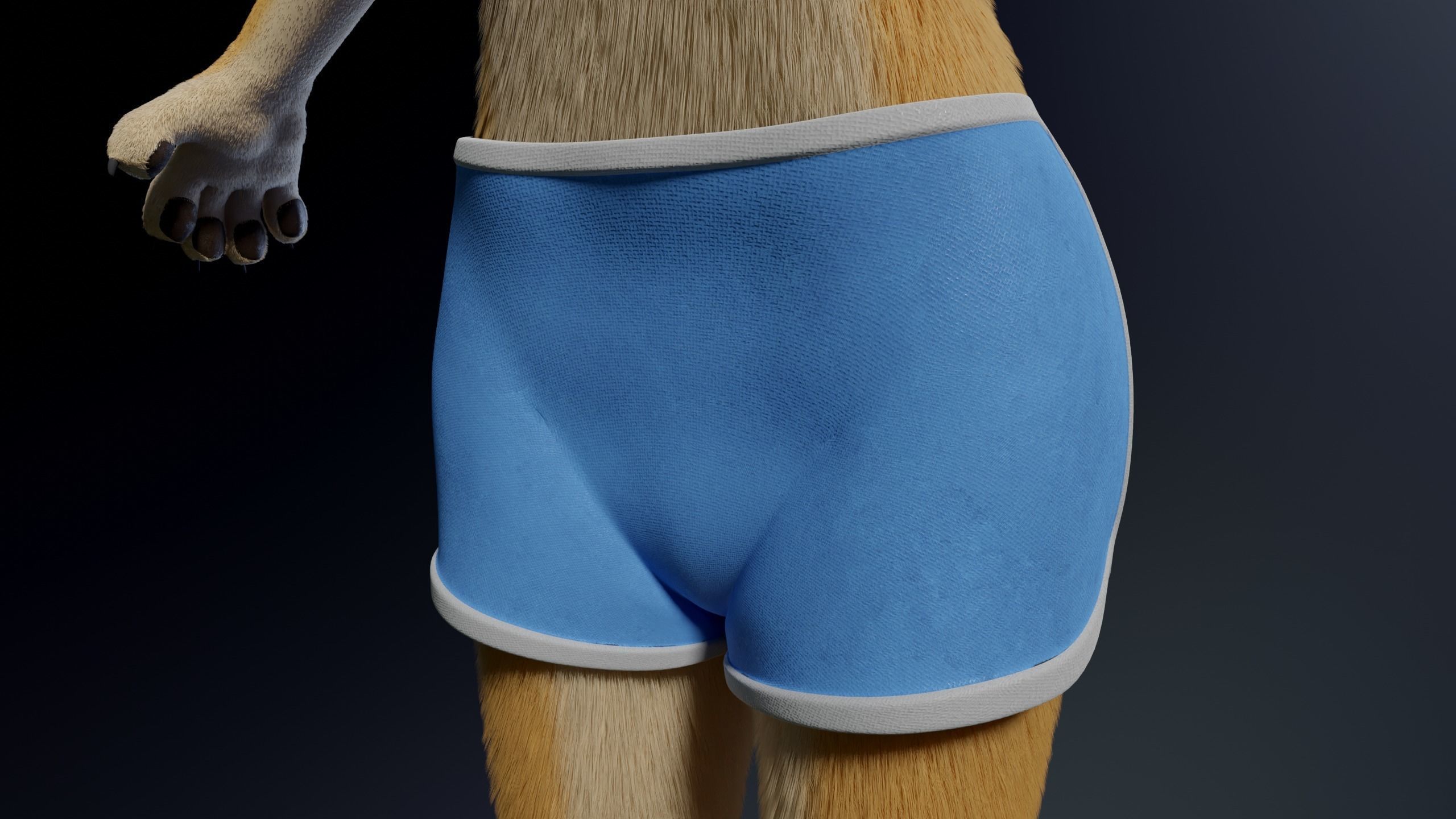 Jully Anthro Fox 3D model_24