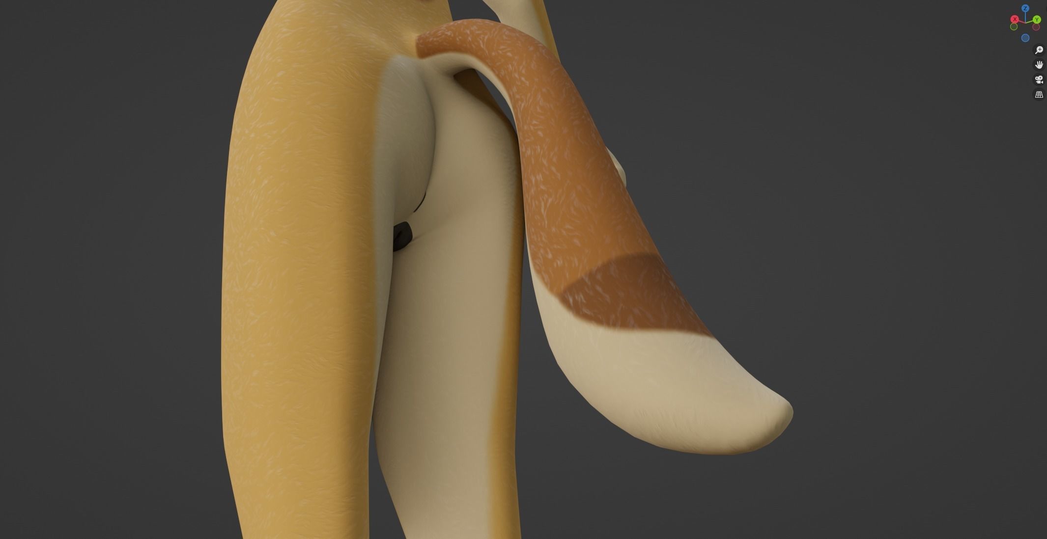 Jully Anthro Fox 3D model_49