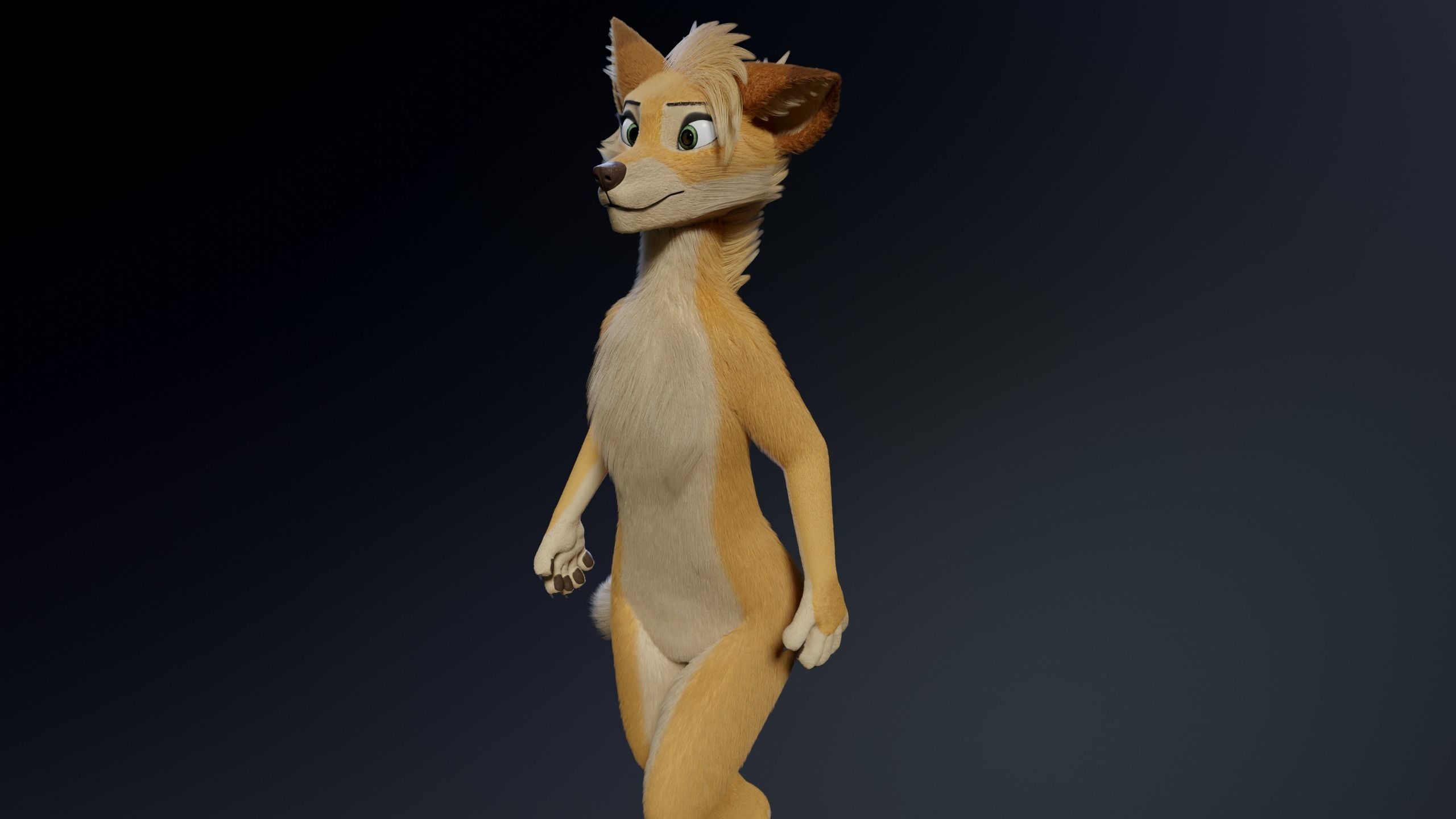 Jully Anthro Fox 3D model_19