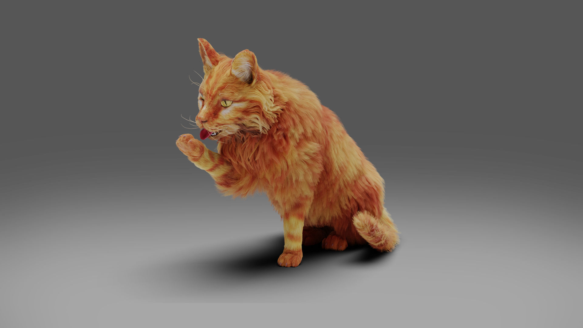 Fur Cat Yellow V3 Rigged Low-poly 3D model_8