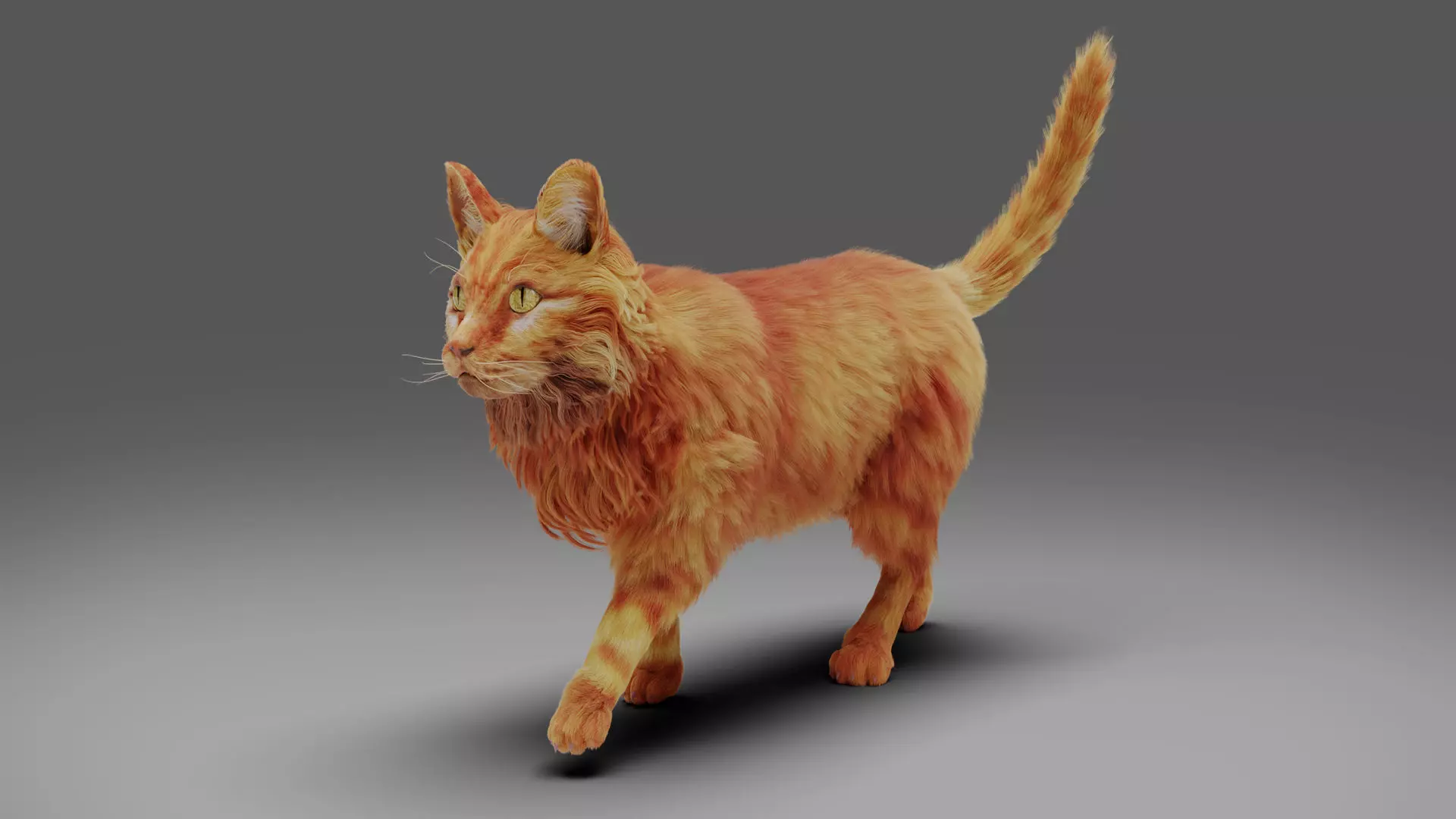 Fur Cat Yellow V3 Rigged Low-poly 3D model_0