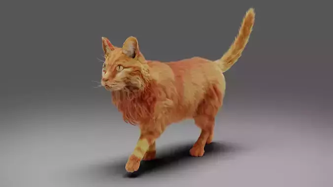 Fur Cat Yellow V3 Rigged Low-poly 3D model Fur Cat Yellow V3 Rigged Low-poly 3D model