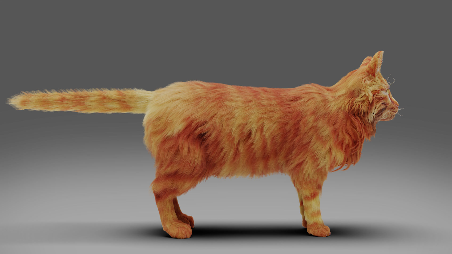 Fur Cat Yellow V3 Rigged Low-poly 3D model_7