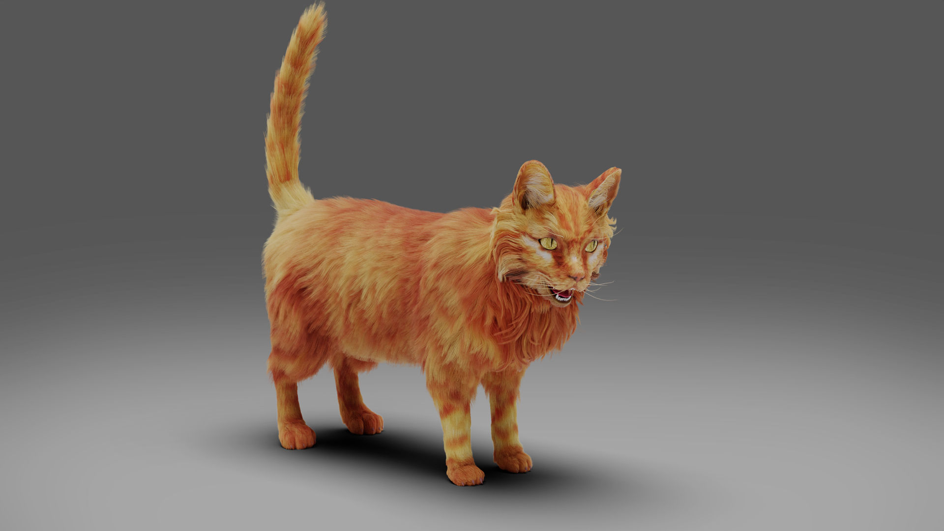 Fur Cat Yellow V3 Rigged Low-poly 3D model_4
