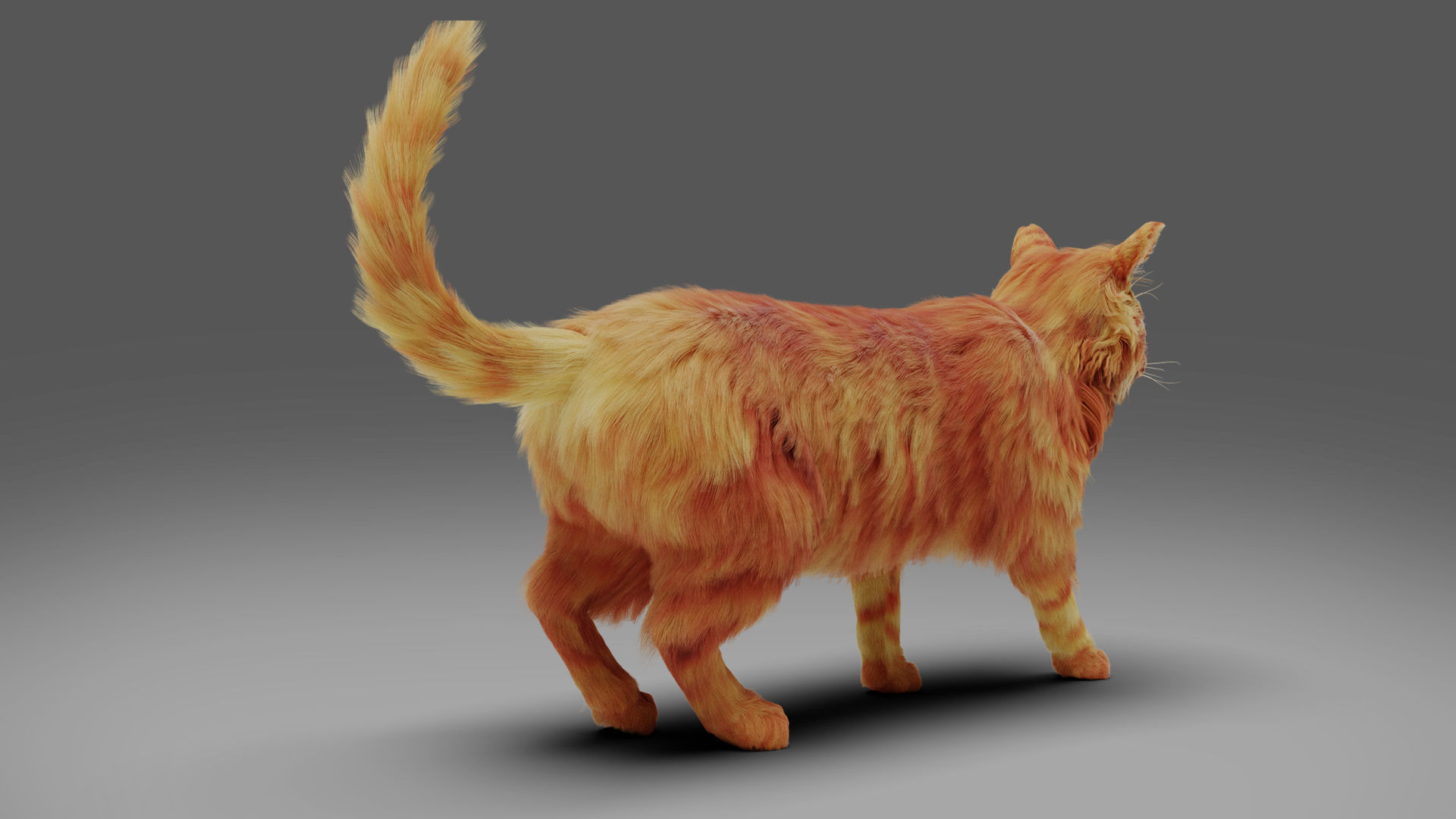 Fur Cat Yellow V3 Rigged Low-poly 3D model_6